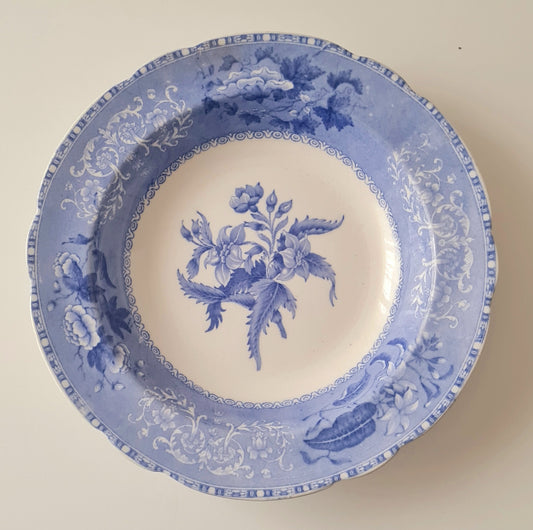 8 piatti fondi (diam. 26 cm.) Spode's "Camilla" Copeland