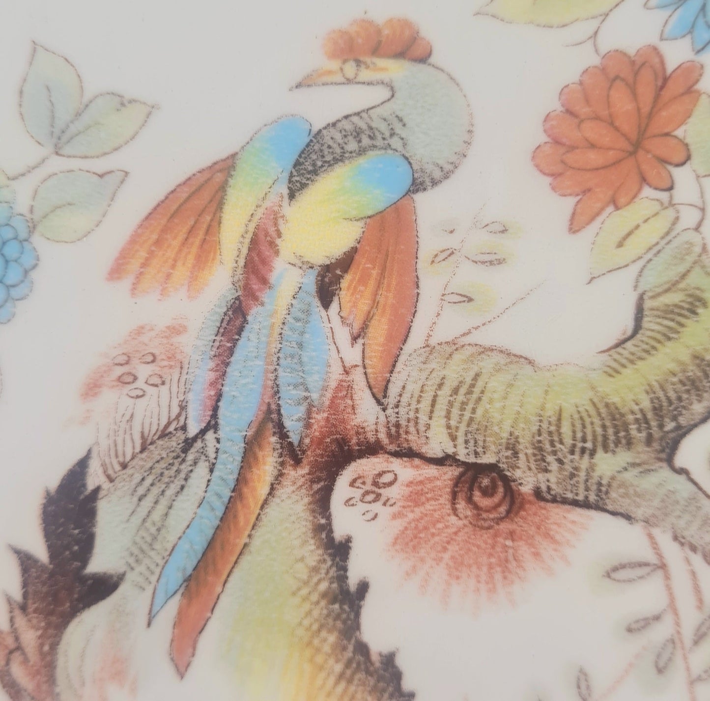 Piatto ovale da portata Royal Cauldon - Paradise