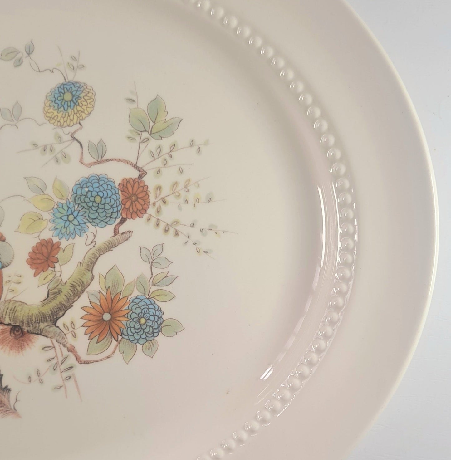 Piatto ovale da portata Royal Cauldon - Paradise