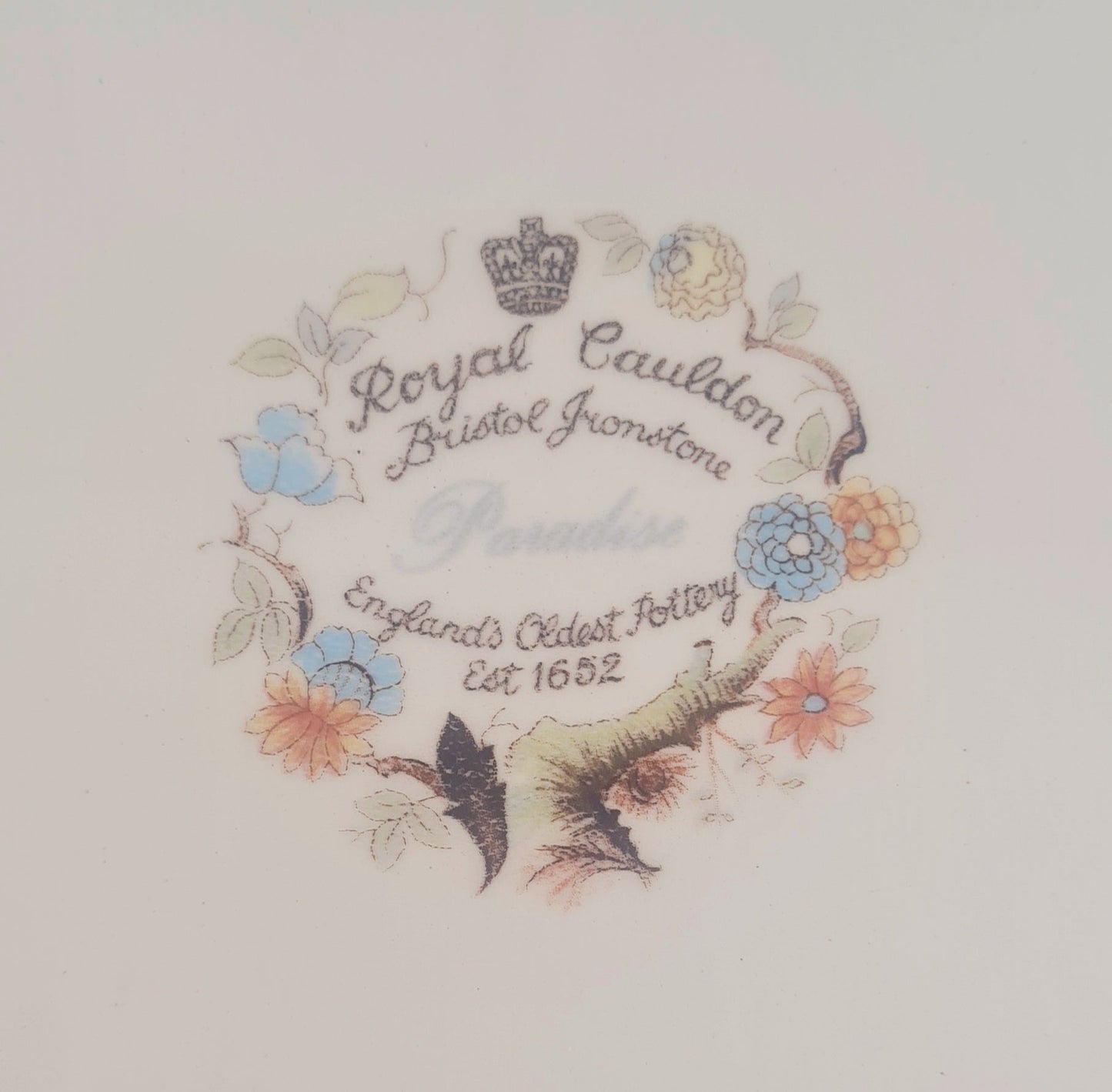 Piatto ovale da portata Royal Cauldon - Paradise