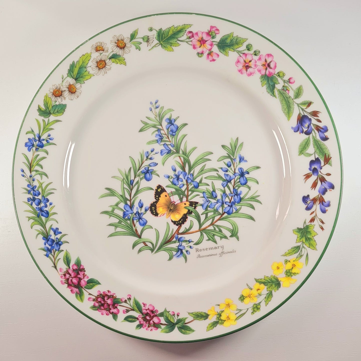 Piatto piano Royal Worcester - Rosemary