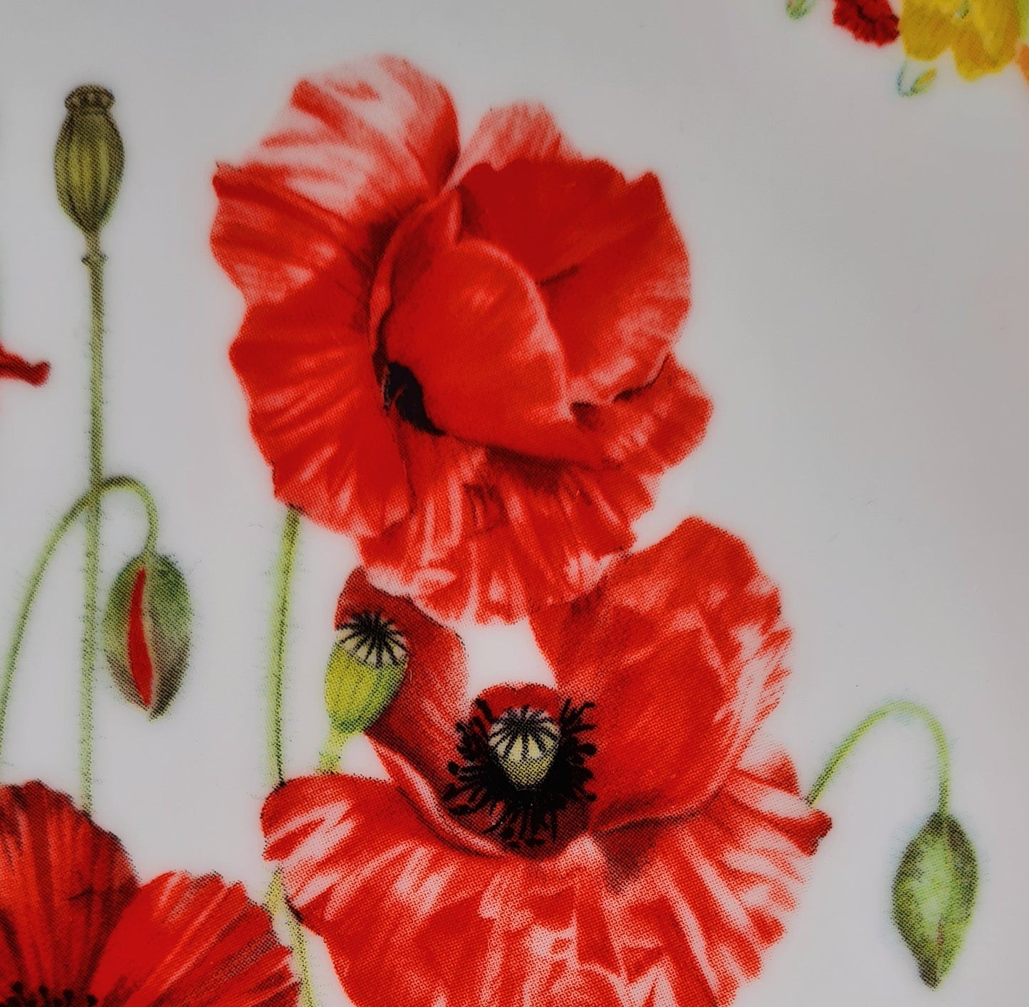 Piatto Royal British Legion Poppy plate