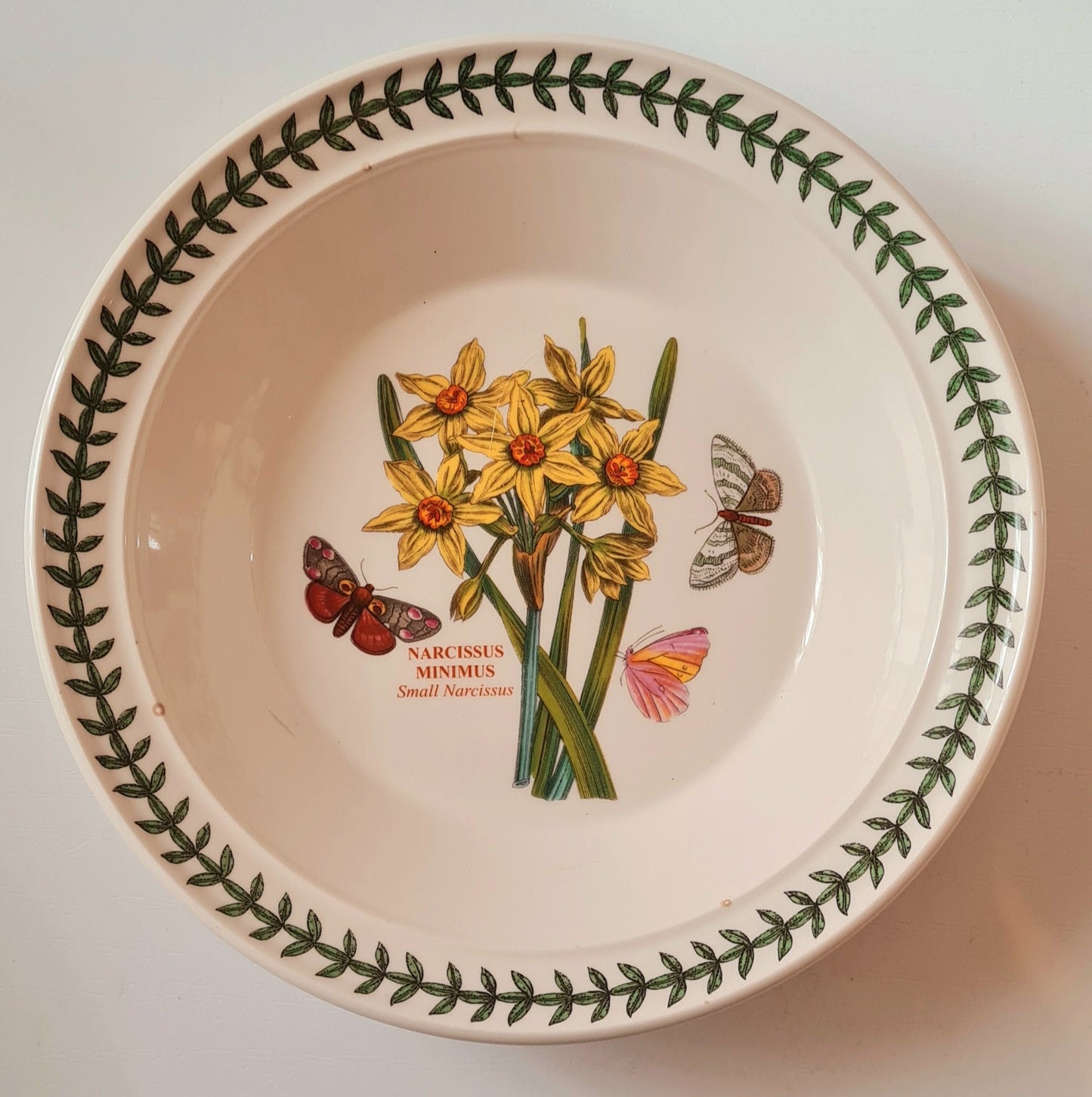 Piatto fondo Portmeirion - Botanic Garden "Narcissus Minimus"