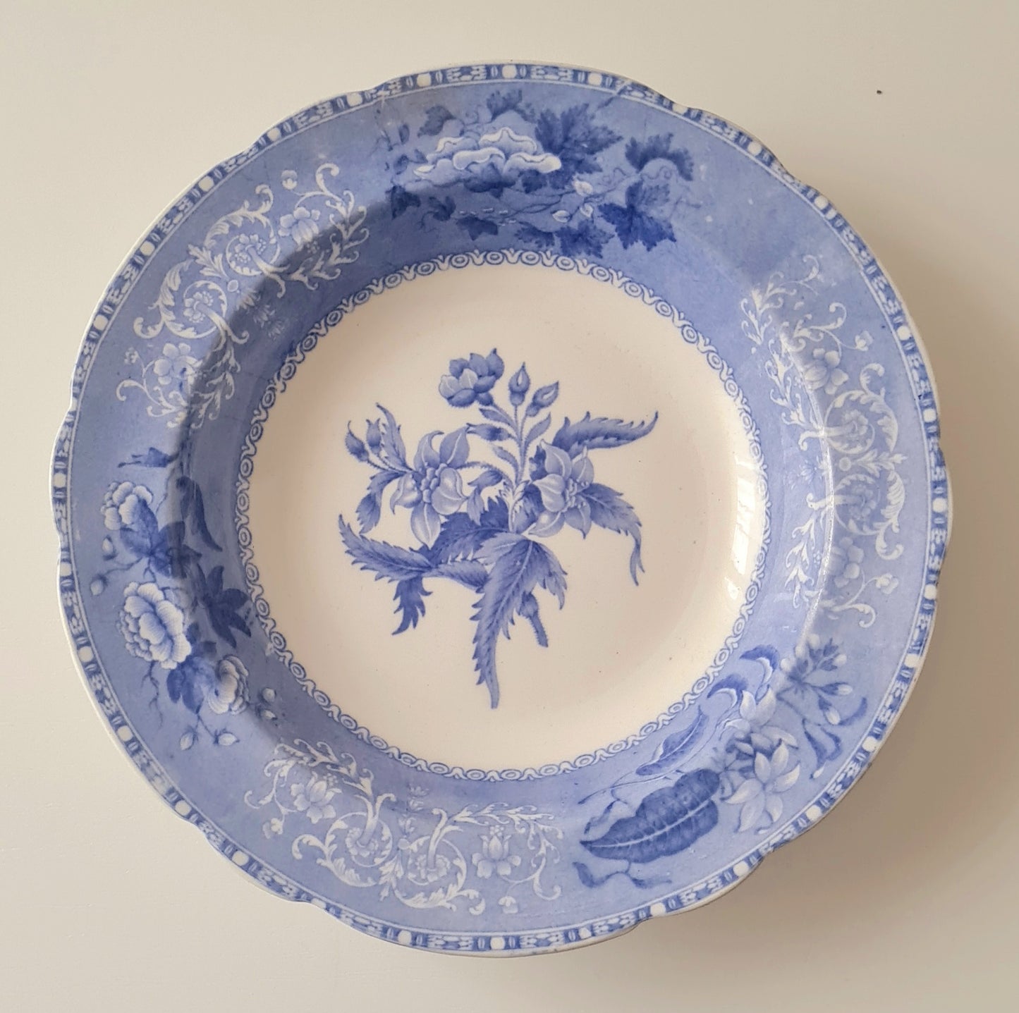 8 piatti fondi (diam. 26 cm.) Spode's "Camilla" Copeland
