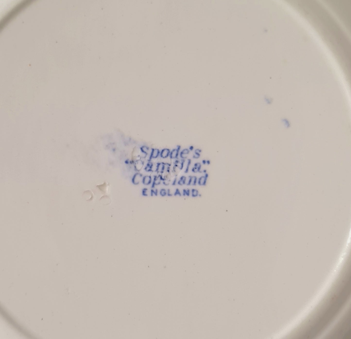 8 piatti fondi (diam. 26 cm.) Spode's "Camilla" Copeland